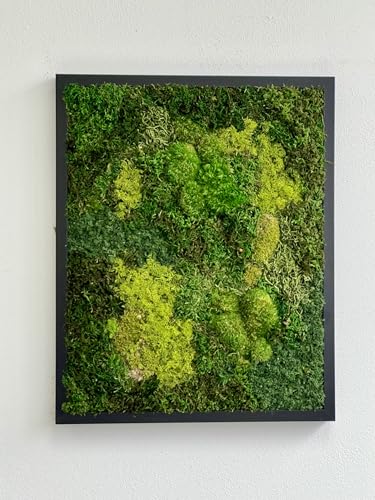 Unique Moss Art - Live Preserved Moss Wall Art - Moss Wall Wooded frame Art - Custom made - Home Decor - Well Decor - Office Decor. Handmade - Made in USA (31" x 14.5" Black)