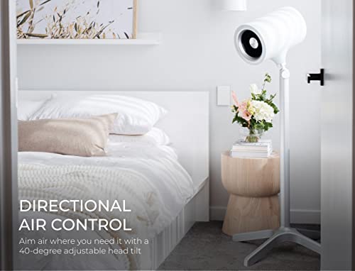 Everdure 49.4 Inch Indoor/Outdoor Pedestal Fan with Remote Control, Black S85067