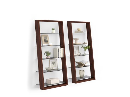 BDI Furniture Eileen Leaning Shelf with 5 Tempered Glass Shelves, Charcoal Stained Ash E1788