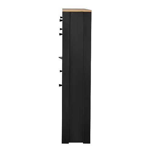 Knocbel Entryway Narrow Shoes Cabinet with 2 Shelves and Top Drawer, Black F96294