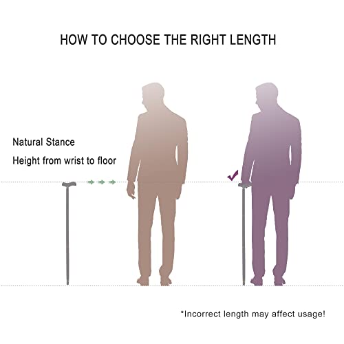 Ebony Wood Walking Cane for Men & Women, Ergonomic 3-Piece Design with Travel Bag L48641