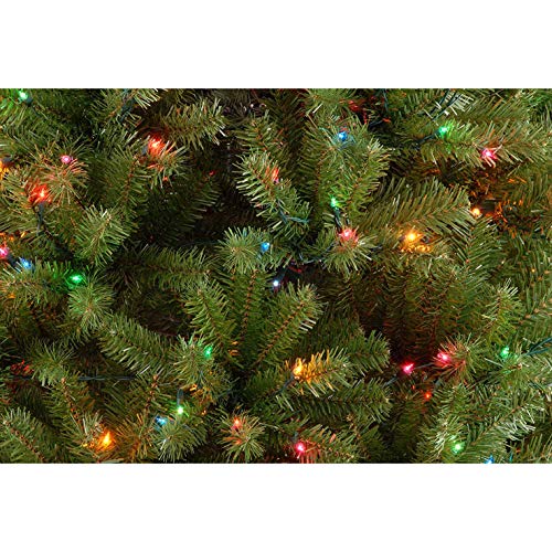National Tree Company Pre-Lit Artificial Christmas Tree, Multicolor Lights, 7 ft W5029