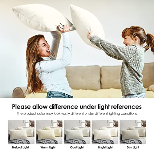 Homelike Moment Throw Pillow Covers Pack of 2, 22x22 White Velvet with Invisible Zipper J564576