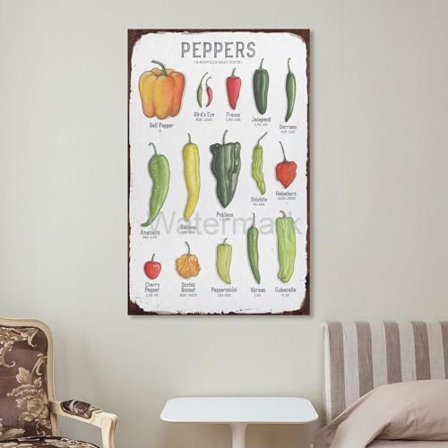 VADDCT Scoville Units Heat Pepper Chart Laminated Kitchen Poster Wall Art 16x24inch Unframe-style L9609