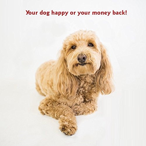 Majestic Pet 3 Step Suede Portable Dog Stairs for Small Dogs, Chocolate Brown L498650