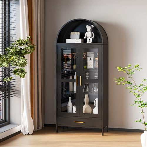 Metal Arched Storage Display Cabinet with Glass Doors, Black L3194