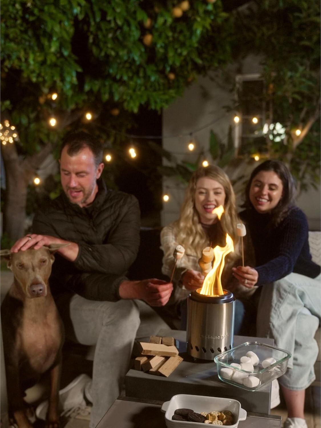 Tabletop Fire Pit 8.7" Smokeless with Travel Bag, Portable Camping Stove, Silver Stainless Steel H2645