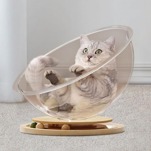 Space Capsule Cat Bed Solid Wood Stand Indoor Pet House M5918