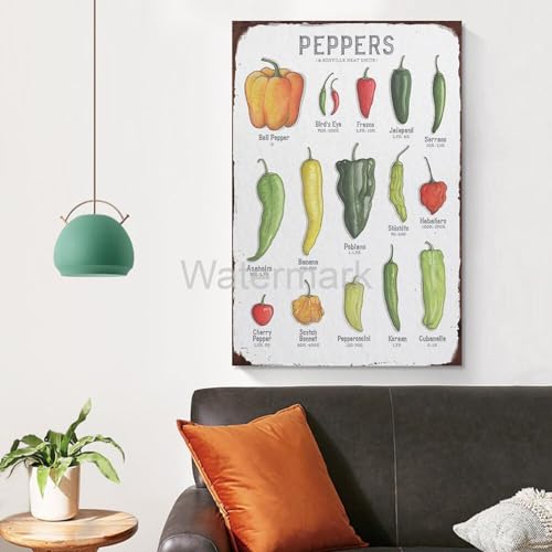 VADDCT Scoville Units Heat Pepper Chart Laminated Kitchen Poster Wall Art 16x24inch Unframe-style L9609