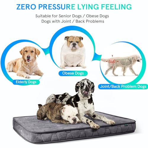 Orthopedic Dog Bed for Small Dogs and Cats, 3 Inch Thick Washable, Grey J6265